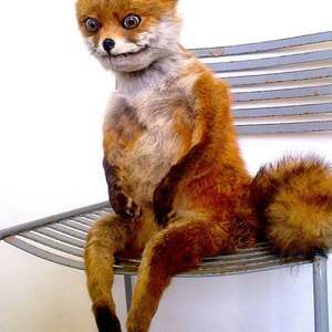 Meet your Posher, Mark